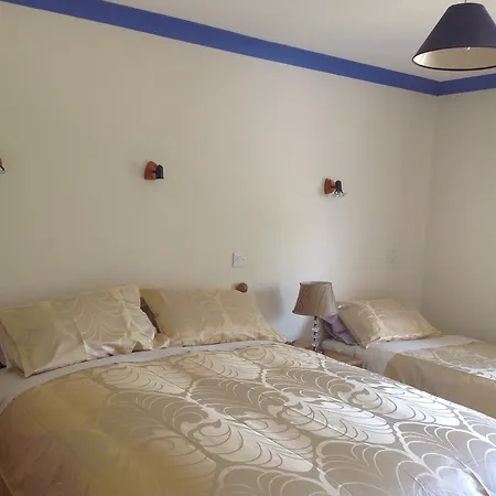 فندق مبيت وإفطار Padua House غالواي