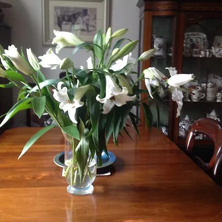 Padua House Bed & Breakfast