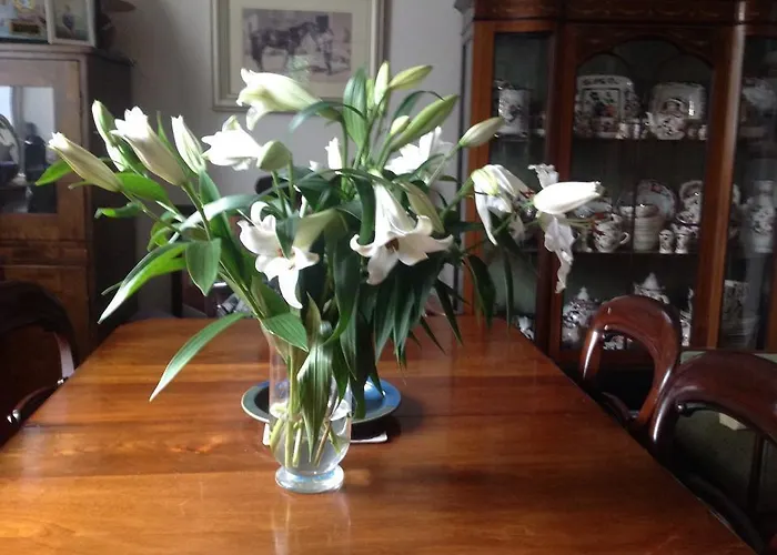 Padua House Bed & Breakfast