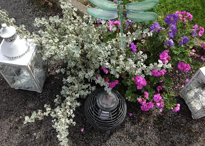 Padua House Bed & Breakfast Galway